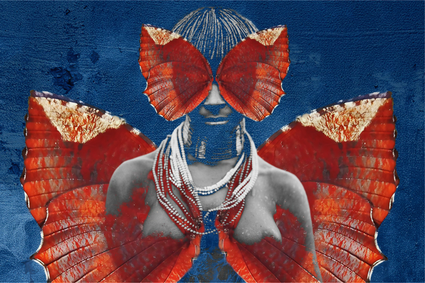 FLY AWAY