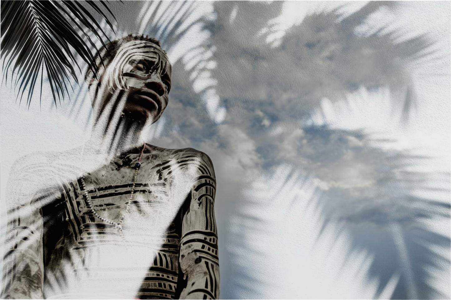PALM DREAMS