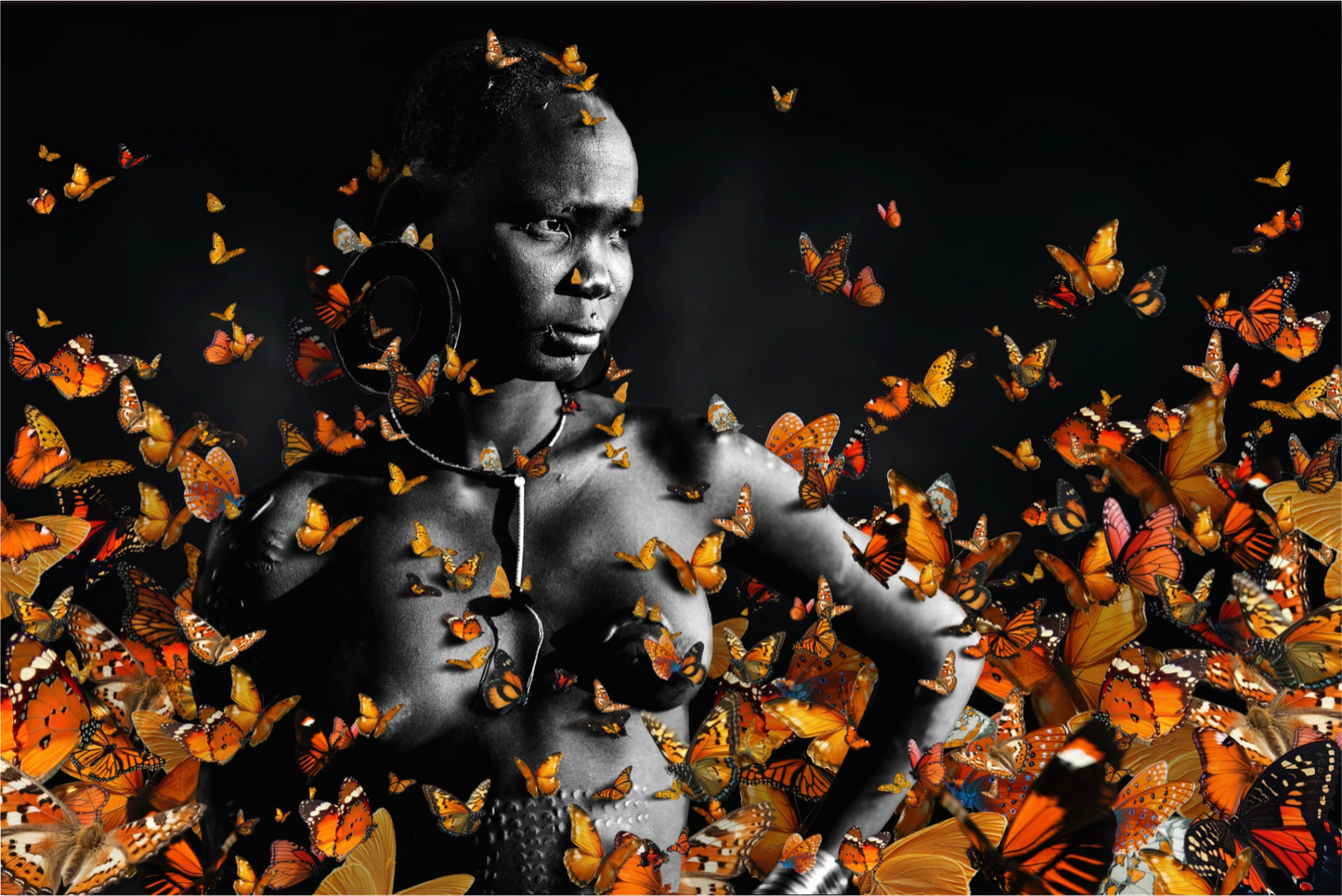 WITH THE BUTTERFLIES