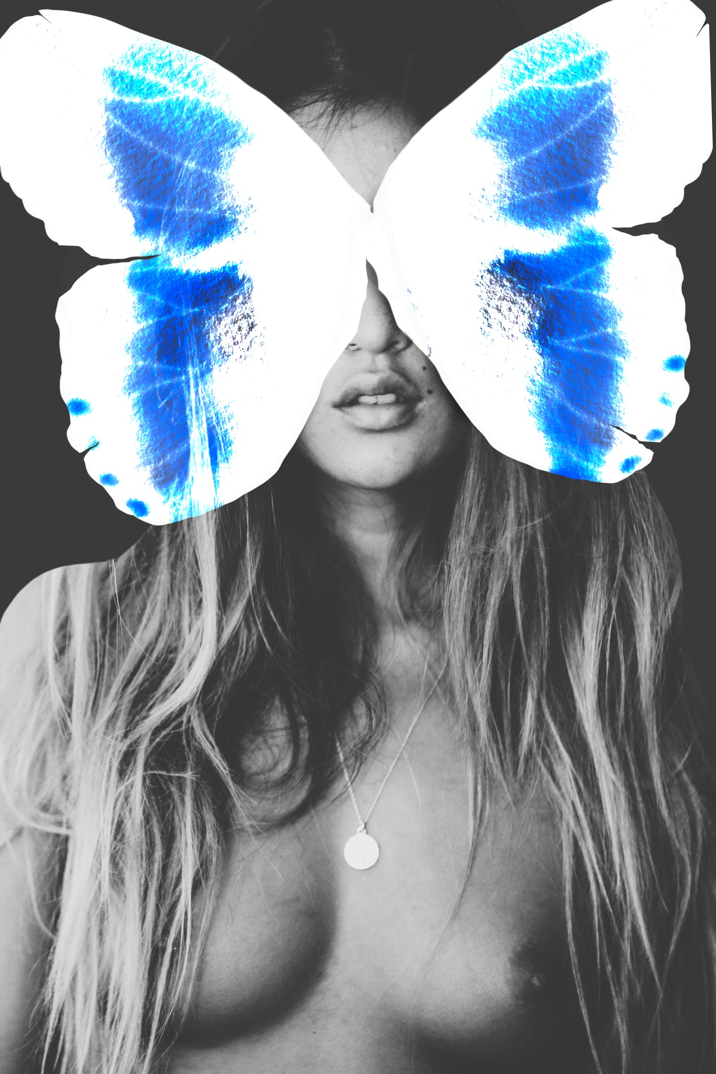 WHITE WINGS