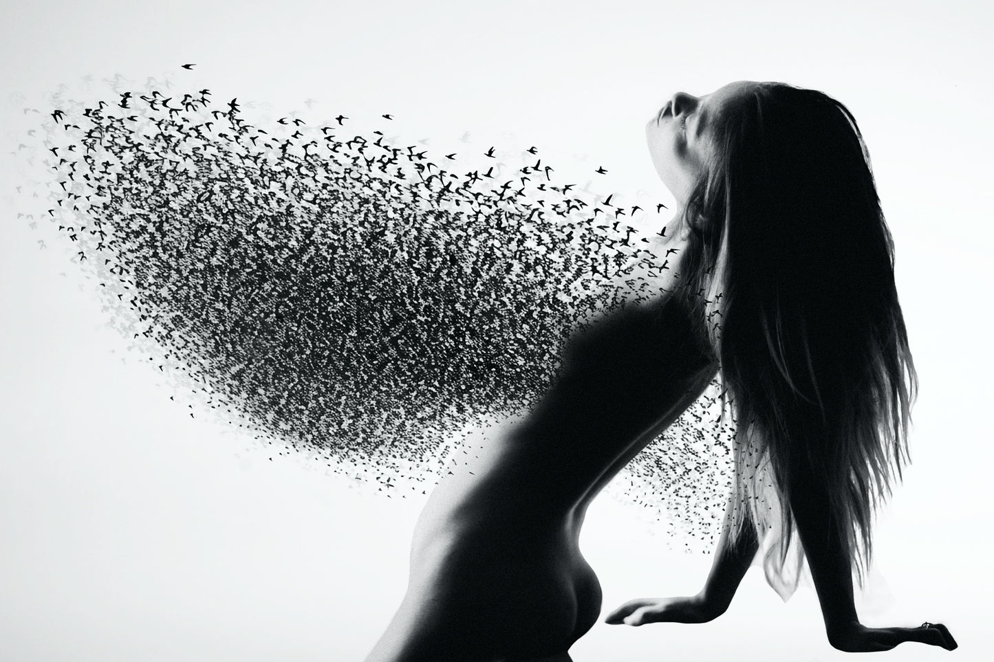 SWARM