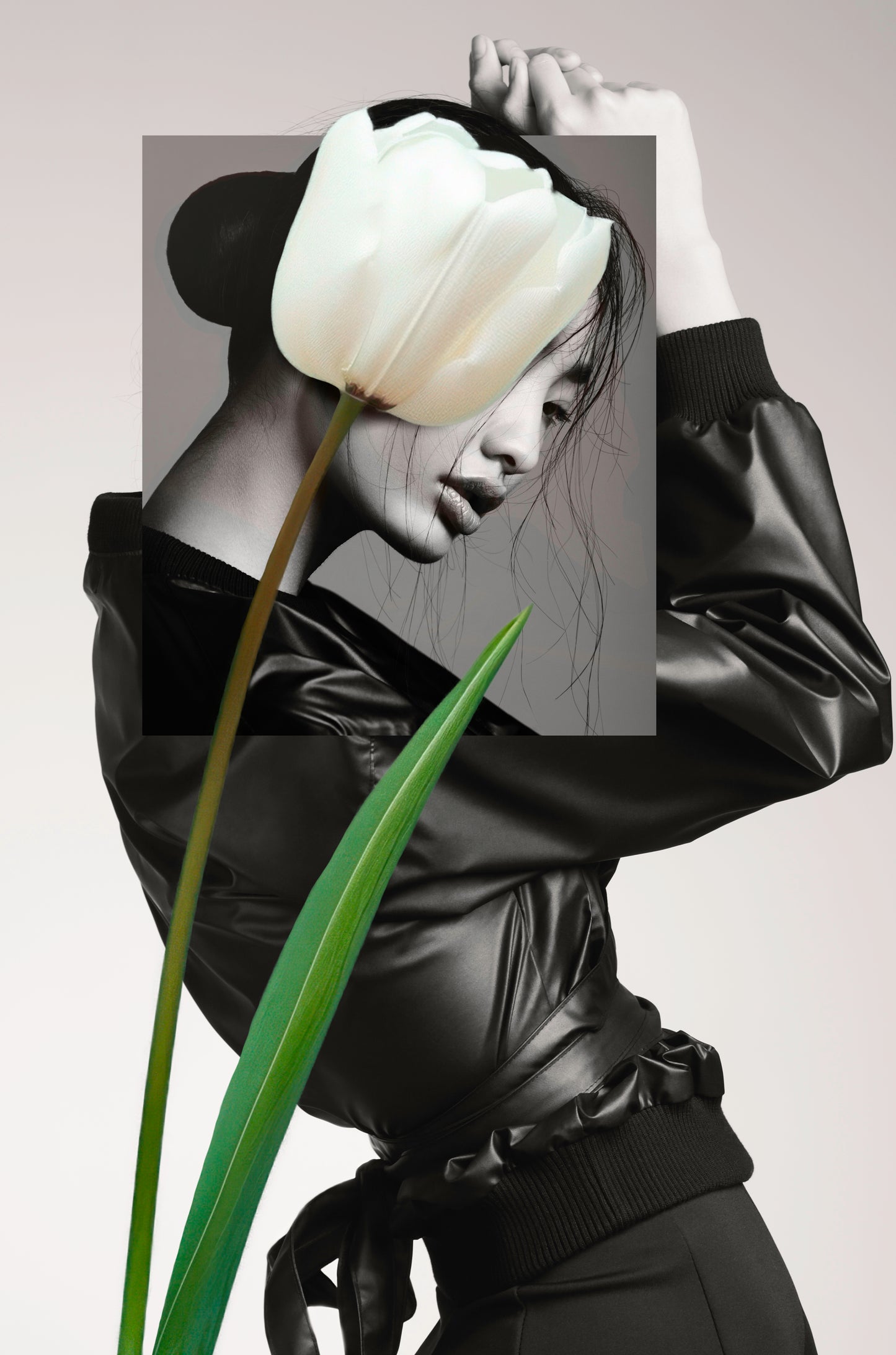 TULIP
