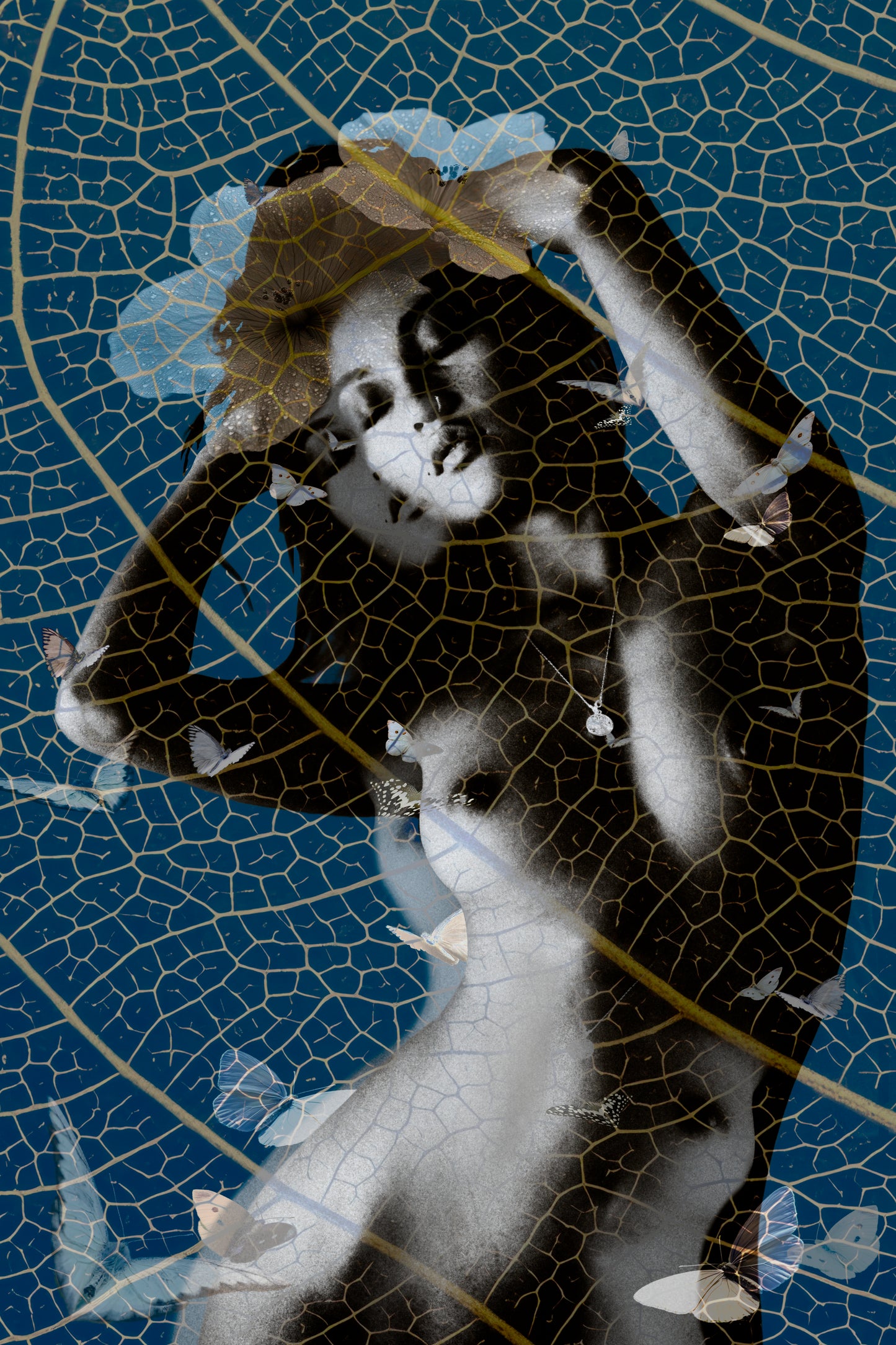 AMONG BUTTERFLIES